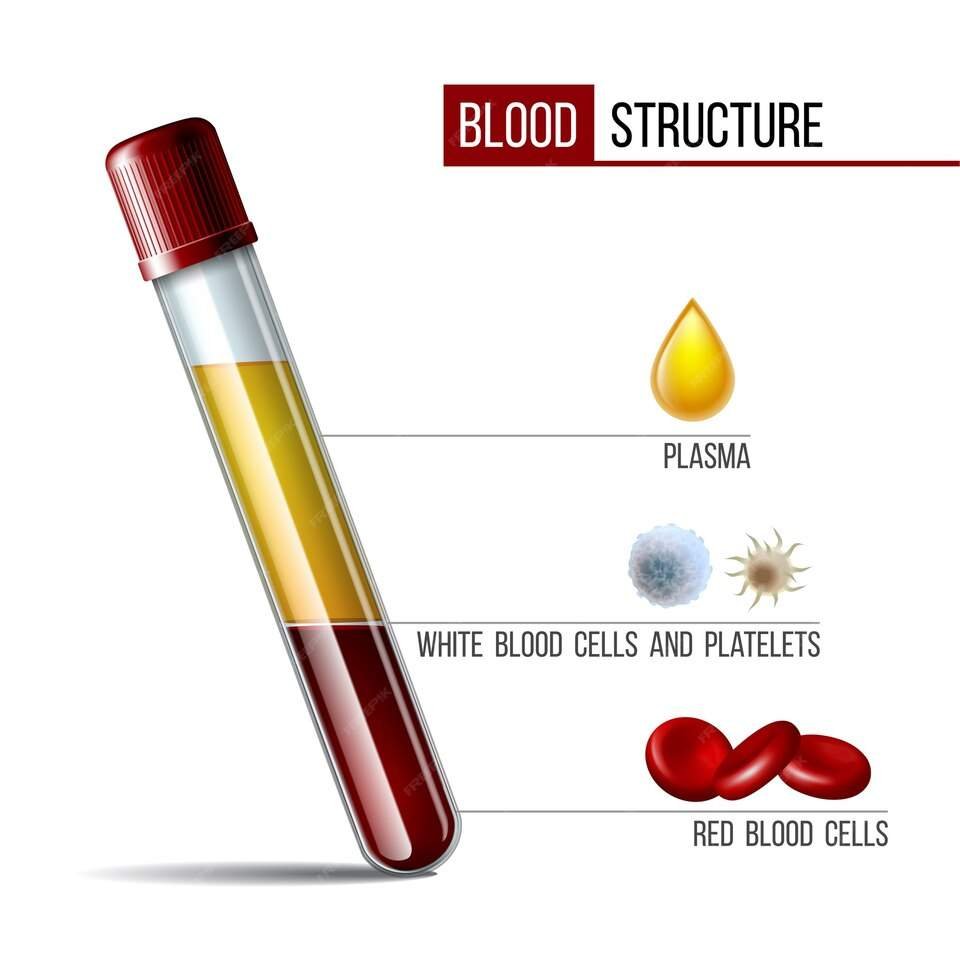 freepicdownloader.com glassware tube filled fractioned blood plasma layers red blood cells medical icon structure blood components illustration flask with red white blood cells plasma platelets large